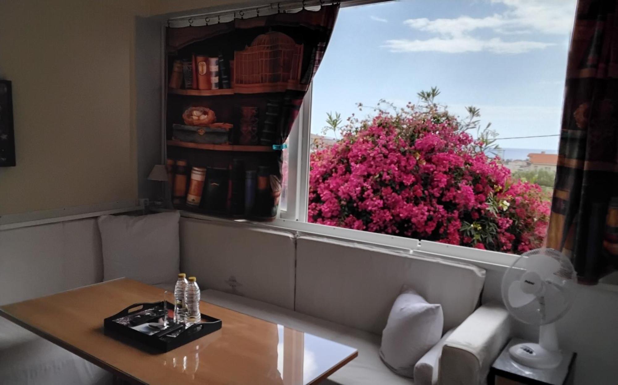 Peaceful Oasis Apartment Athens Exterior photo