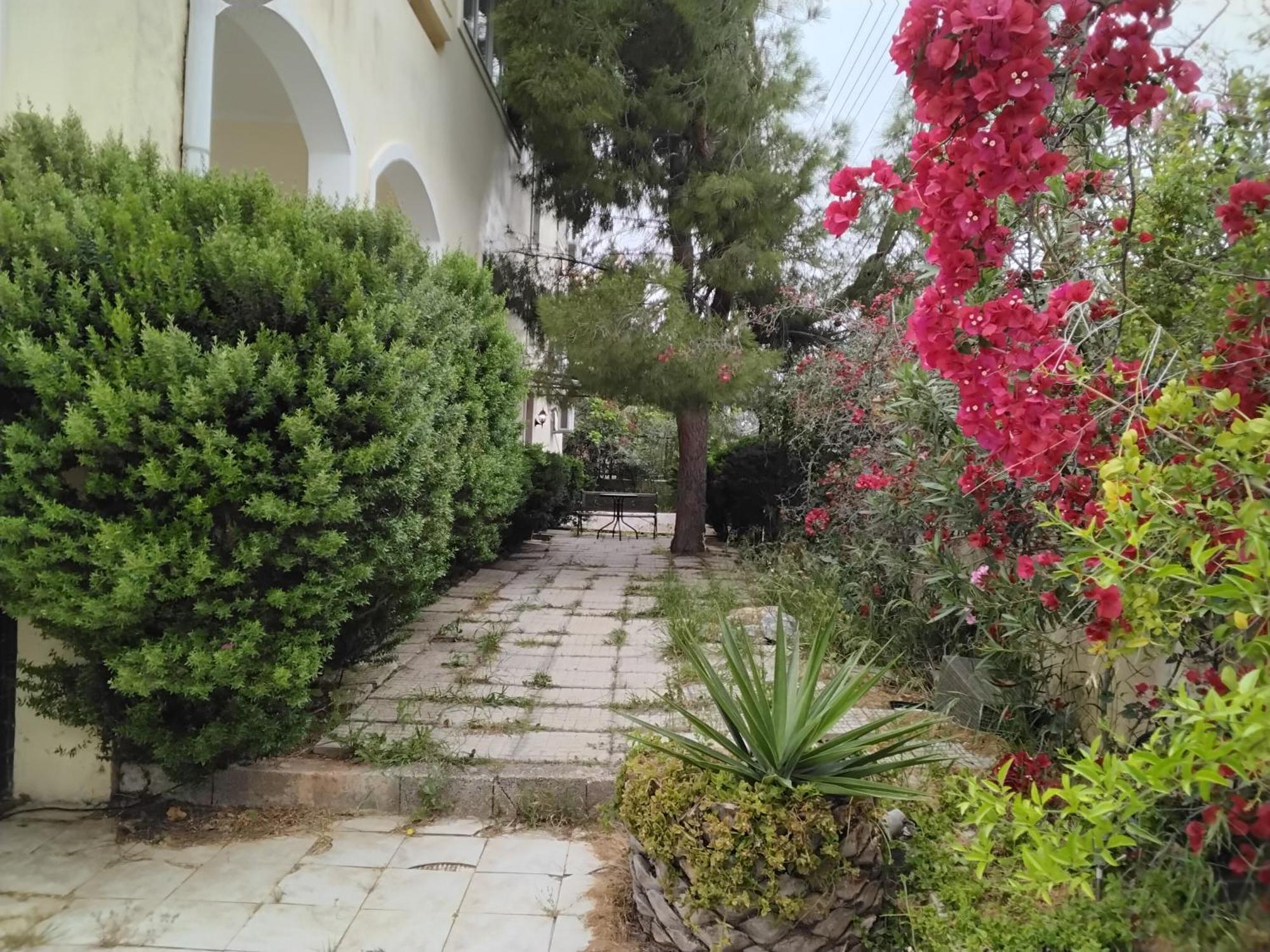 Peaceful Oasis Apartment Athens Exterior photo